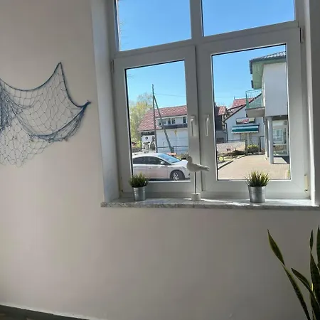 Rybitwa Dziwnow