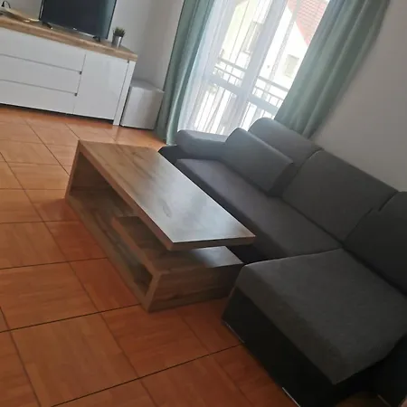 Rybitwa Dziwnów